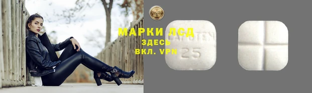 гидропоника Дмитровск