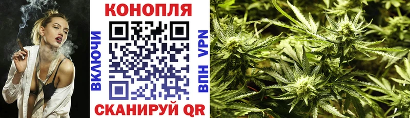 Бошки марихуана гибрид  дарк нет телеграм  Плёс 